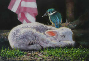 Darren Roberts-Sacred visitor (Kotare)