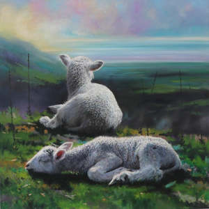 Darren Roberts- Wanaka Dreaming