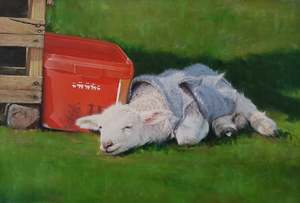 Darren Roberts: Darren Roberts- Baby Lamb in Sweater