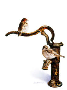 Susan Harrison Tustain: Susan Harrison Tustain. Flotsam and Jetsam.Fine Art Giclee Reproductions