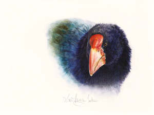 Susan Harrison Tustain: Susan Harrison Tustain.Hamilton. Takahe head portrait. Fine Art Giclee Reproductions
