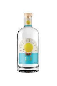 The National Distillery Dive In Yuzu Gin 40% 1lt