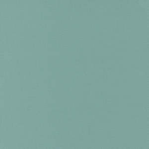 Bella Solids | Dusty Jade 9900 38