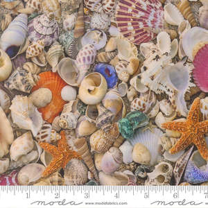 Multi: Saltwater | Seas the Day | Shell 39570 11