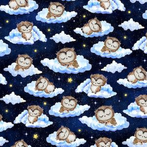 Kids 1: Owl Always Love You | Sleeping Owls | Navy CD3295