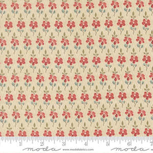 French General: Fleur De Paris | Paquerette | Pearl 13997 11