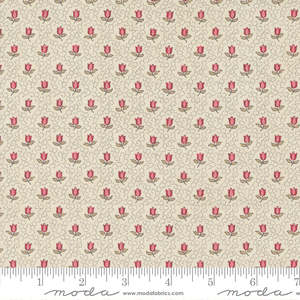 French General: Antoinette Champagne Pearl 13955 11