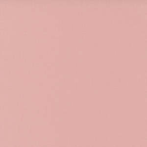 Bella Solids | Bunny Hill Pink 9900 195