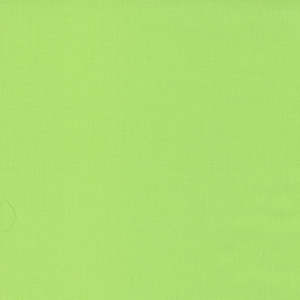 Green: Bella Solids | Amelia Green 9900 163