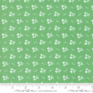Green: 30's Playtime | Daisy Dots | Aloe 33755 17