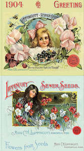 Multi: Sewing Seeds III | 60cm Pillow Panel | 24920 101