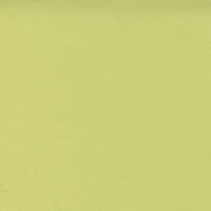 Quilting: Bella Solids | Light Lime 9900 100
