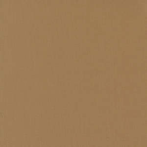 Bella Solids | Paper Bag 9900 40