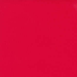 Bella Solids | Ruby 9900 382