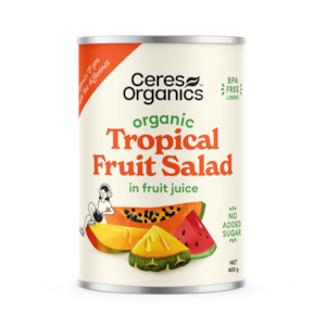Organic Tropical Fruit Salad in Fruit Juice - 400g
