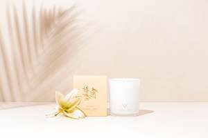 Candles Diffusers: Living Light Soy Candle Large