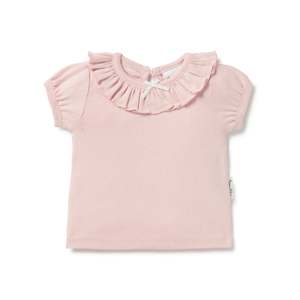 Aster & Oak Petal Pointelle Ruffle Top
