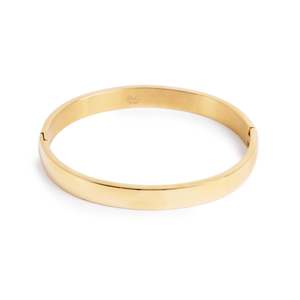 Lifestyle: Bracelet | Bangle - Steel 14k Gold | A&C