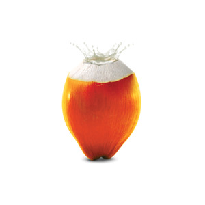 King Coconut Water - Ceylon Kokonati