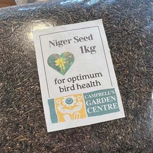 Niger Seed 1kg Bag – Premium Bird Feed