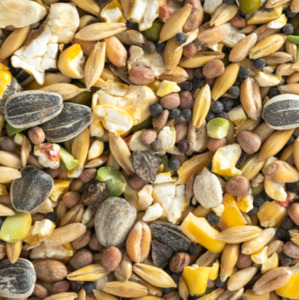 Bird Seed: Soak and Sprout