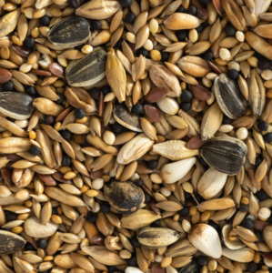 Bird Seed: Aviary Mix