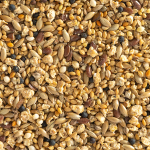 Bird Seed: Quail Mix