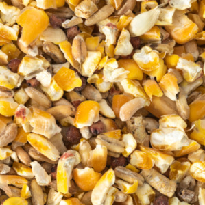 Bird Seed: Dove Seed Mix
