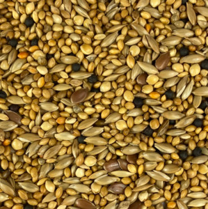 Bird Seed: Finch Mix