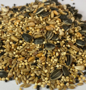 Bird Seed: Cockatiel Mix