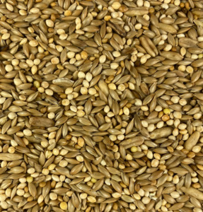 Bird Seed: Budgie Mix