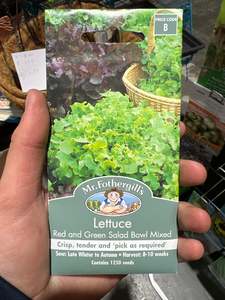 Seeds Clearance: Lettuce