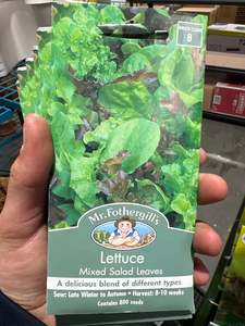 Lettuce