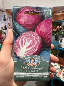 Seeds Clearance: Red Cabbage