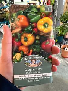 Seeds Clearance: Capsicum
