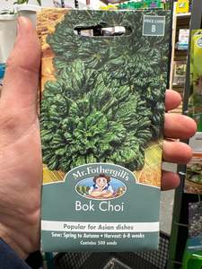 Seeds Clearance: Bok Choi