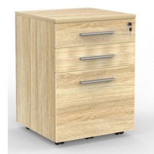 Mobile Drawer Unit Cubit 2 Drawer plus File Drawer Mobile CG Office Furniture