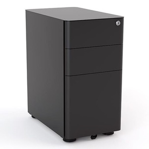 Products: Agile Slimline Metal Mobile 2 drawer plus File Drawer CG Office Furniture
