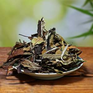 Ancient Tea Tree Teas: Ancient Tree White Tea