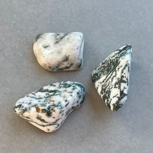 Products: Agate, Tree (Tumbled) - The Crystal People