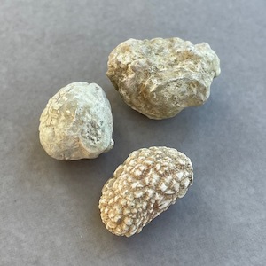 Agate, Snakeskin (Mineral) - The Crystal People