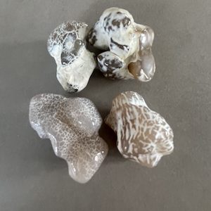 Products: Agate, Snakeskin, Polished (Mineral) - The Crystal People