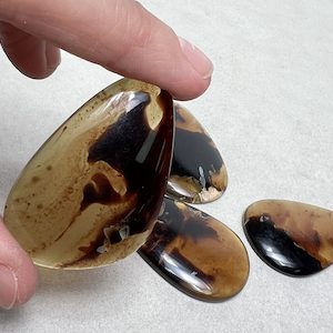 Products: Amber, Indonesian, (Black patches) Freeform - The Crystal People