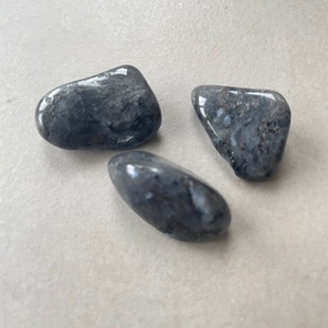 Larvikite (Tumbled) - The Crystal People