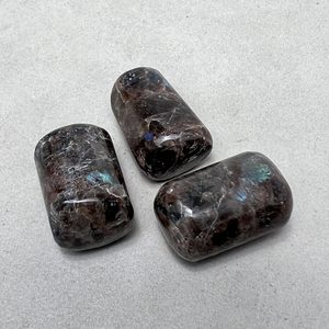 Larvikite, Brown (Tumbled) - The Crystal People