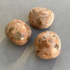 Leopardite (Tumbled) - The Crystal People