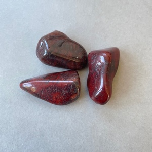 Products: Mary Ellen Stromatolite (Tumbled) - The Crystal People