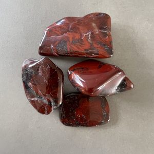 Mary Ellen Stromatolite, Large (Tumbled) - The Crystal People