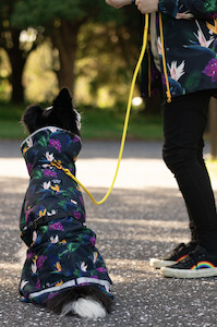 Jackets Dog: Paradiso Lined Raincoat for Dogs