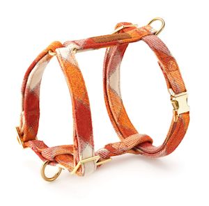 Walk: Pumpkin Spice Plaid Flannel Harness